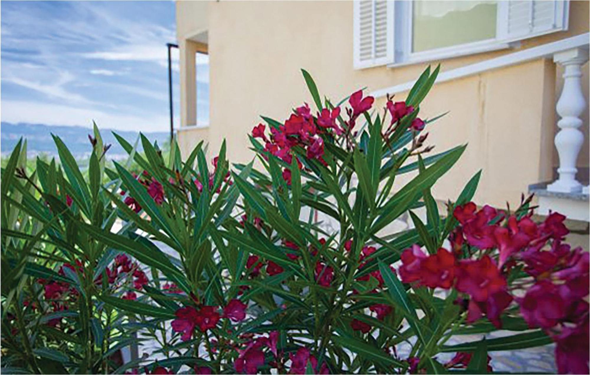 1 Bedroom Beautiful Apartment In Malinska Exteriér fotografie
